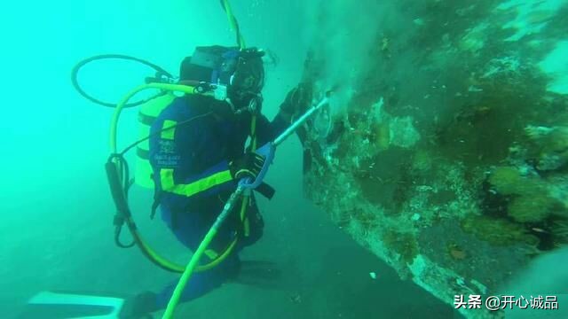 极限工作之船底清洁：想靠卖船底海鲜补贴几十万清洁费？别搞笑了