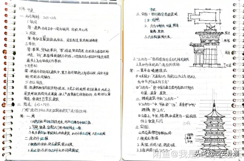 给狗相亲，代吃代喝...西安人在闲鱼上到底在卖啥？