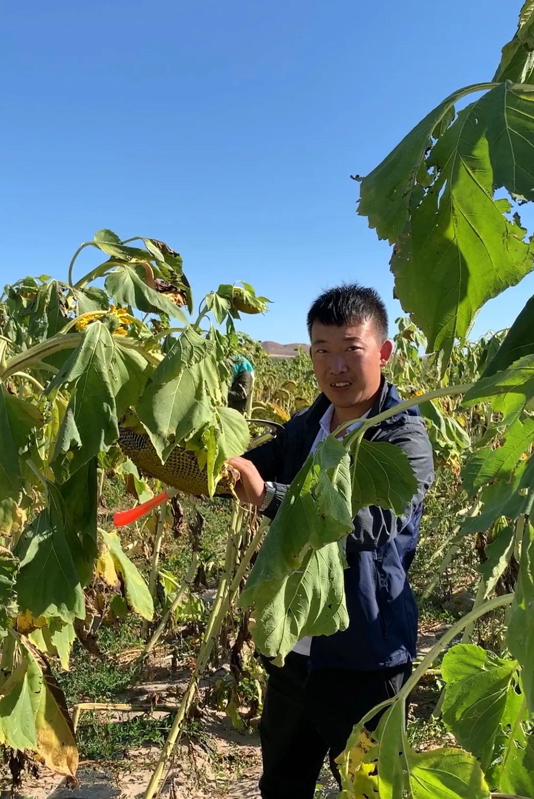 农民创业卖农产品,返乡农民农业创业