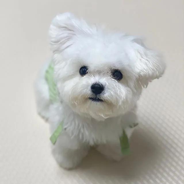 拿什么方式减压,有什么最好的减压方法