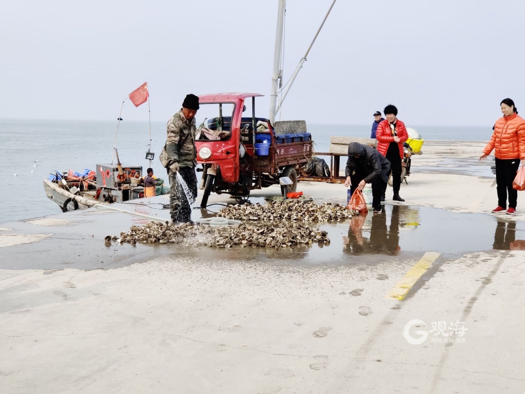 即墨开海上哪个码头买海货新鲜,渔船靠岸搜罗带一手新鲜靓海鲜