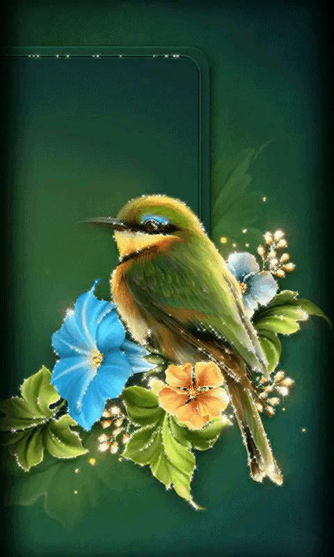 这是我见过最美丽的风景用英语,这是我见过最美的风景啥意思