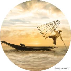 沙鳖和甲鱼哪个好养殖呢,甲鱼养殖专用饲料