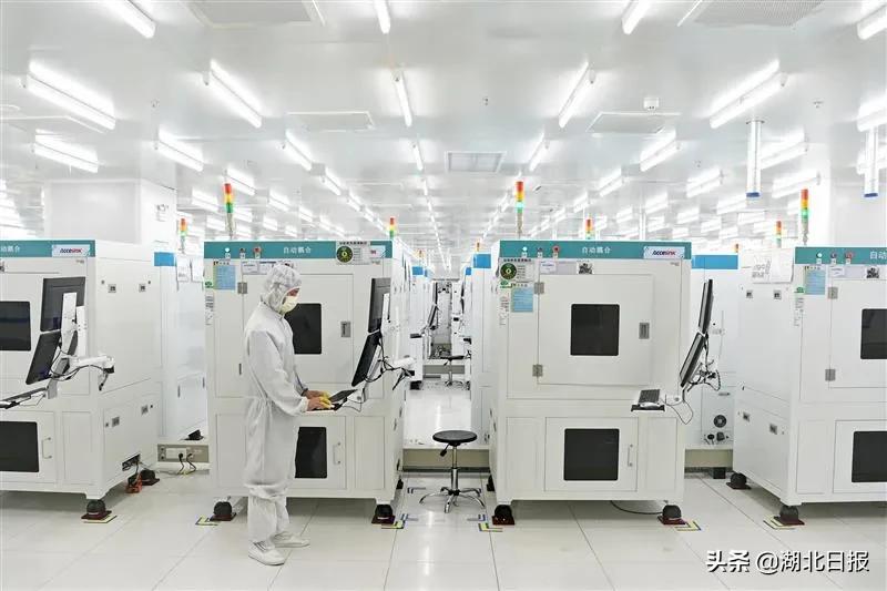 长文最新更新视频,重磅文章最新