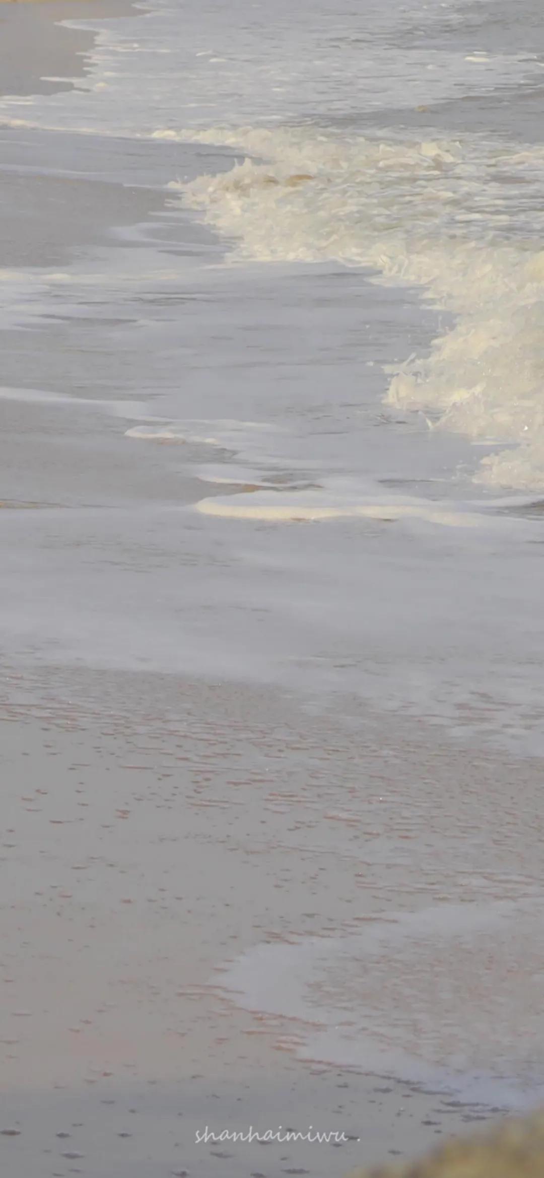 纯紫唯美壁纸,淡紫壁纸高级感