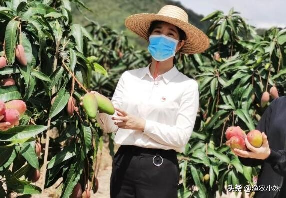 中国进口越南水果2019年 (越南水果为什么要进口)