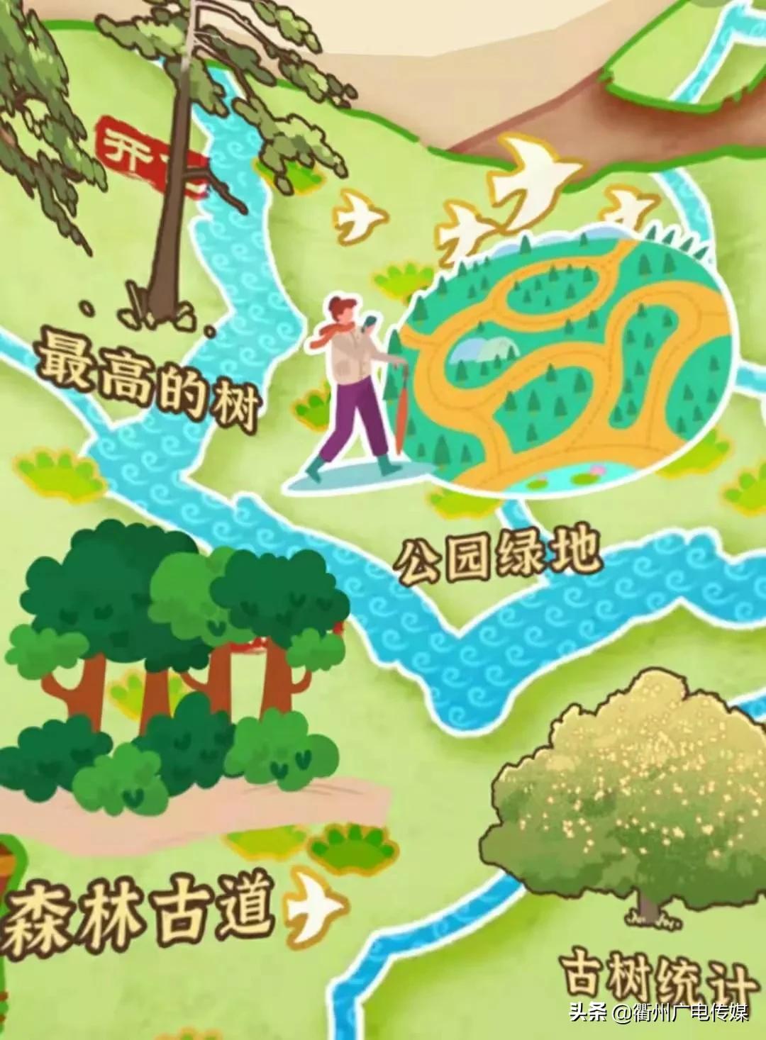 现存最老的古香榧树,大山里的原生态千年香榧树