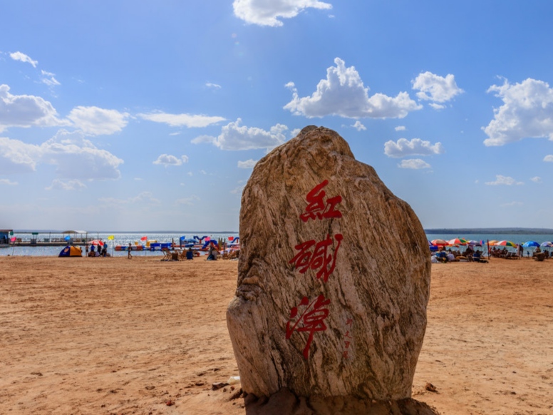 陕西省最有历史文化的县城,陕西历史文化名城有几个