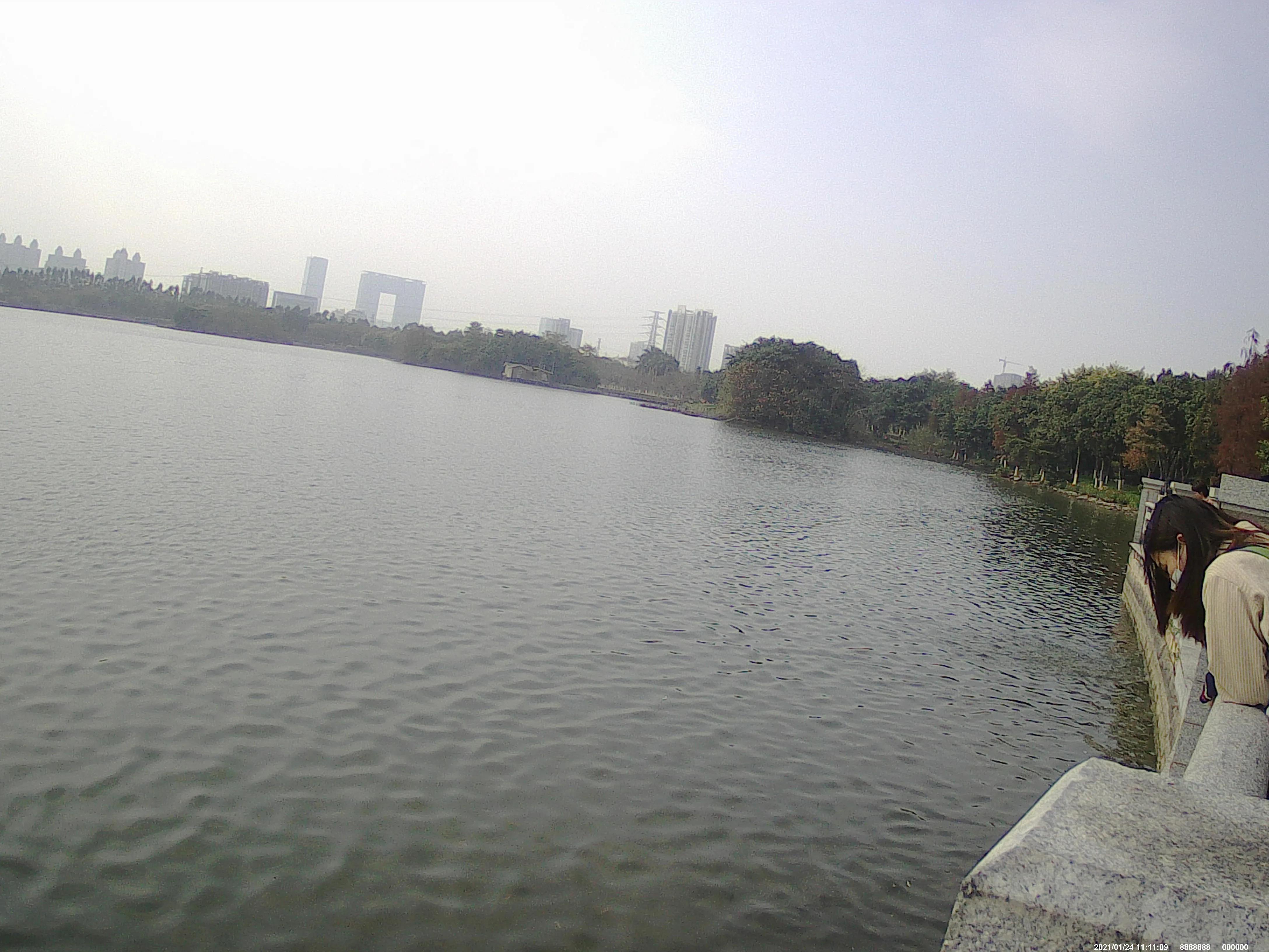 广州海珠湖,海珠湖变化