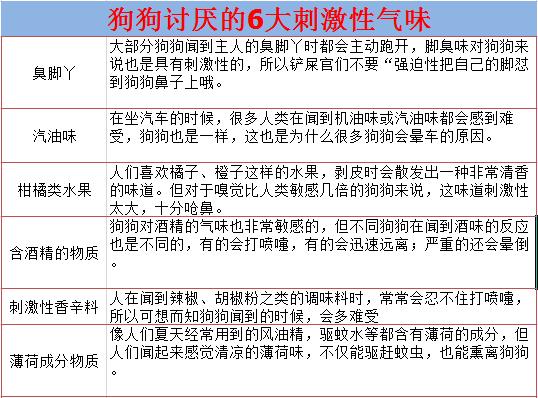 狗狗异食癖咬尾巴啃墙皮,狗狗异食癖叼石头怎么办