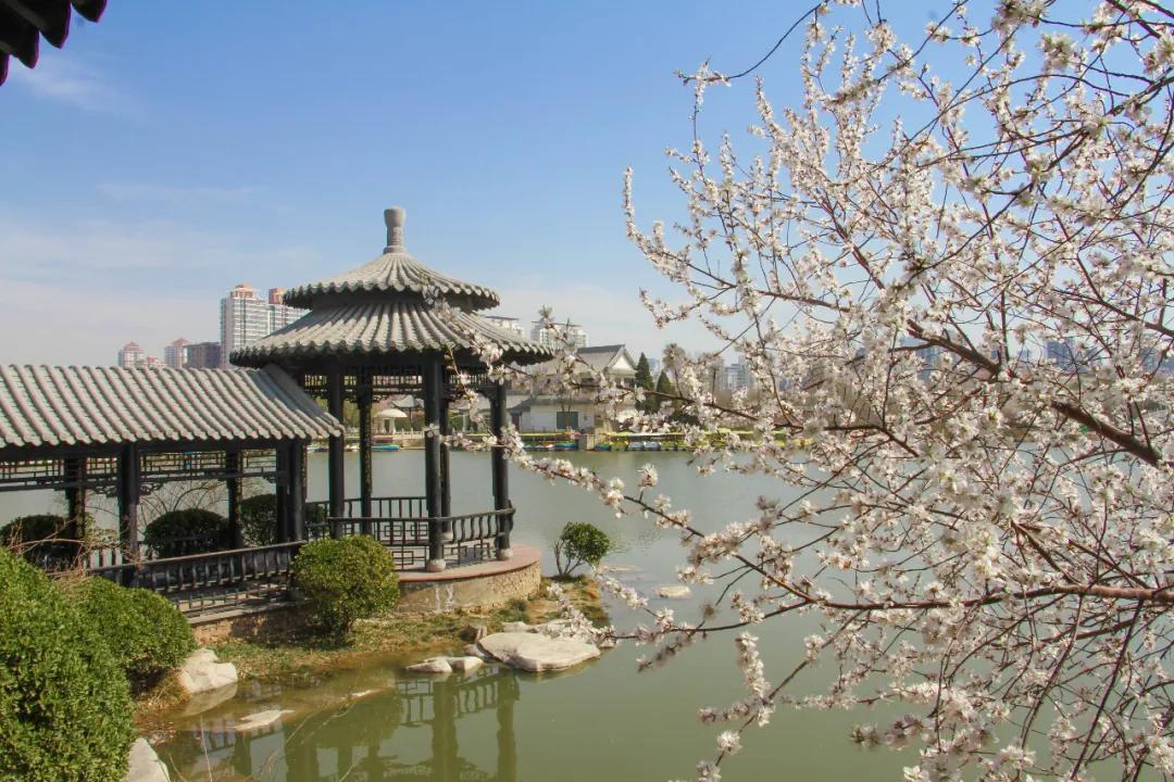 天津北辰郊野公园开放最新通知,天津都有哪些公园随时免费开放