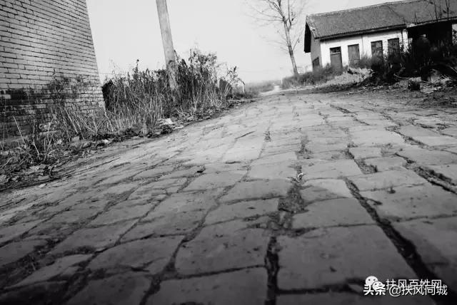 扶风高中校史馆,陕西扶风县扶风中学