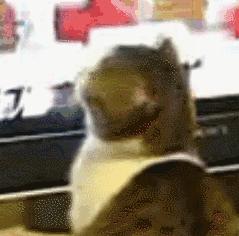 12岁男孩脚疼一查竟是这个原因,17岁小孩突发痛风脚趾关节痛