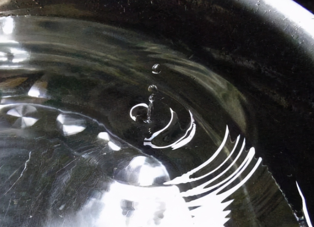 水培富贵竹根部不发芽怎么办,水培富贵竹没生根前怎么养