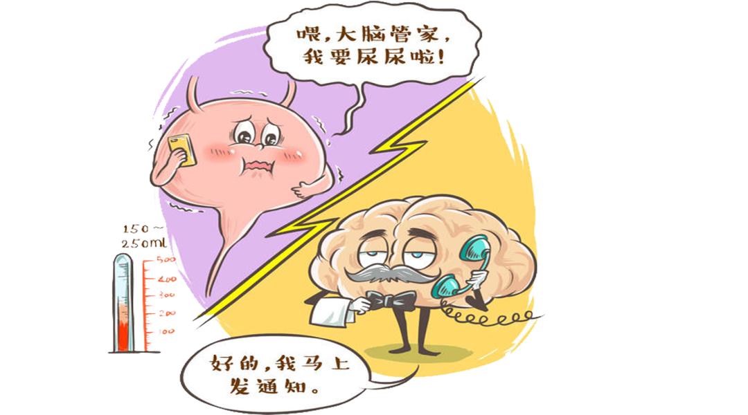 「前列无忧」小便能否反映前列腺健康？