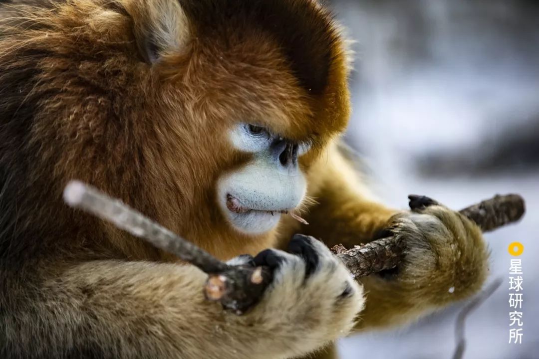 每一张图都有一个故事你想听哪个,每一张图都是清晰的记忆