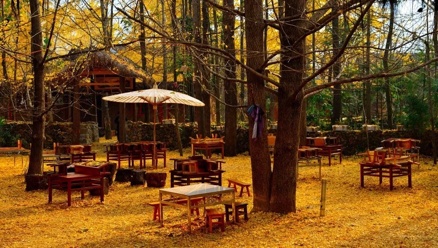 腾冲金玉堂,腾冲和顺古镇金玉堂