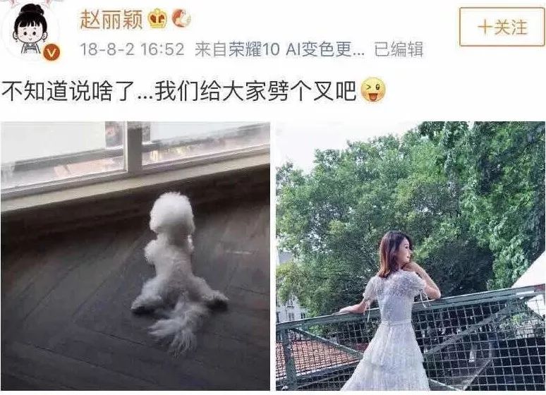 赵丽颖否认自己像杨幂,赵丽颖否认和他谈恋爱