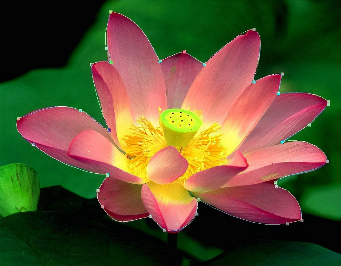 ps新手快速入门一对一教程,ps进阶教程全套免费自学