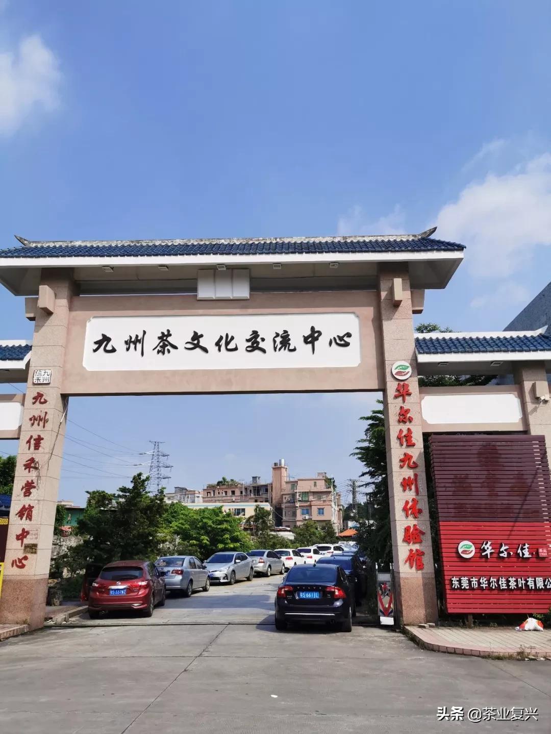 东莞藏茶之都,东莞获授中国藏茶之都