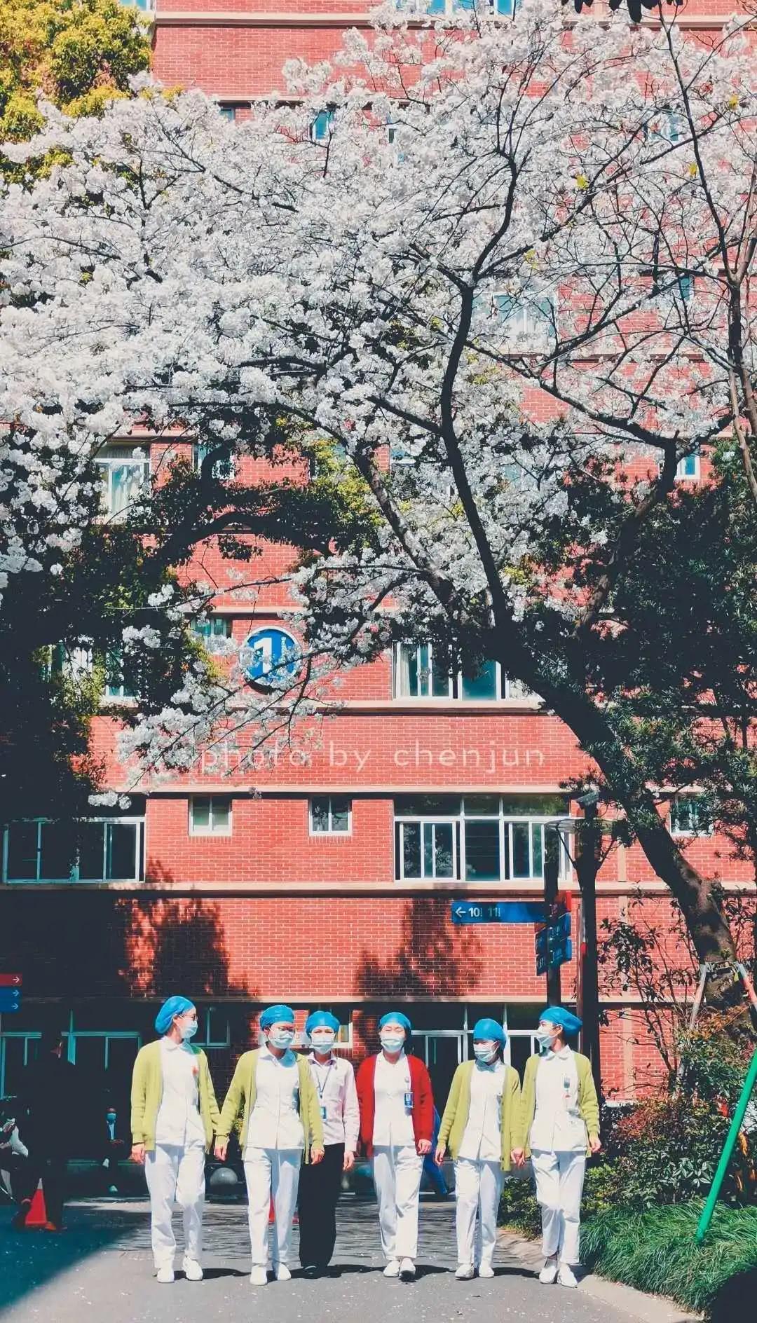 头颈部鳞癌新辅助化疗方案,晚期头颈部肿瘤治疗