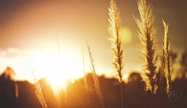 老子临终的三大智慧,老子三大经典名言