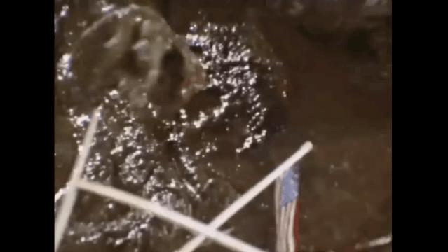 火了40年的顶流,火了20年的顶流