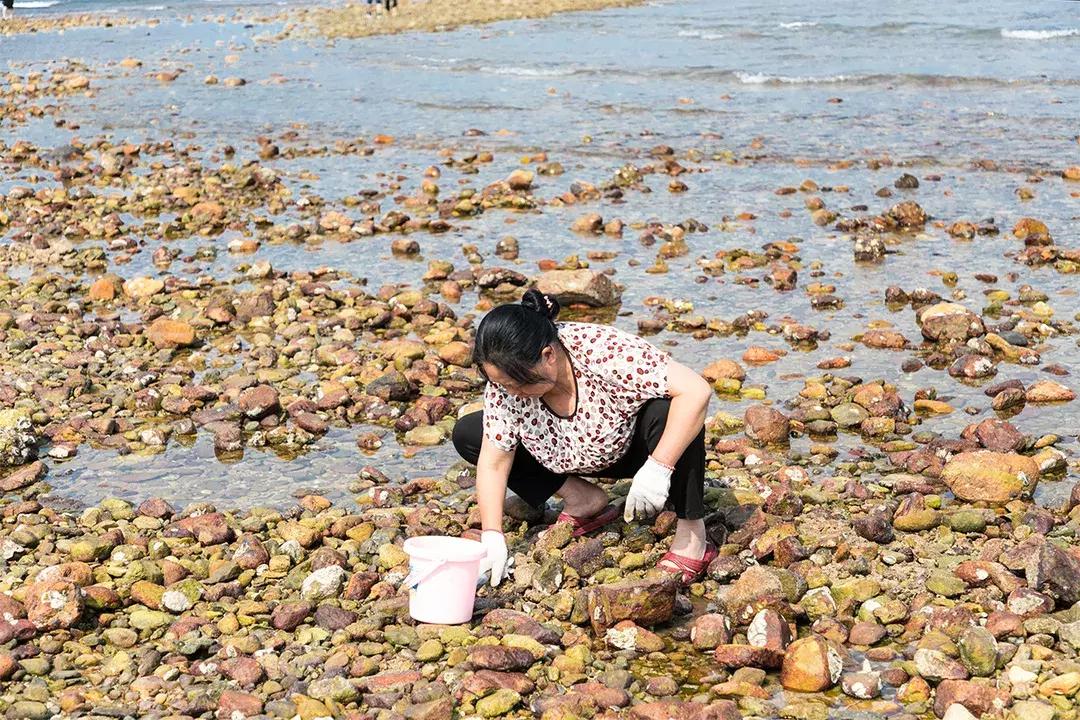 杨梅坑旅游攻略超详细版,魅力杨梅坑
