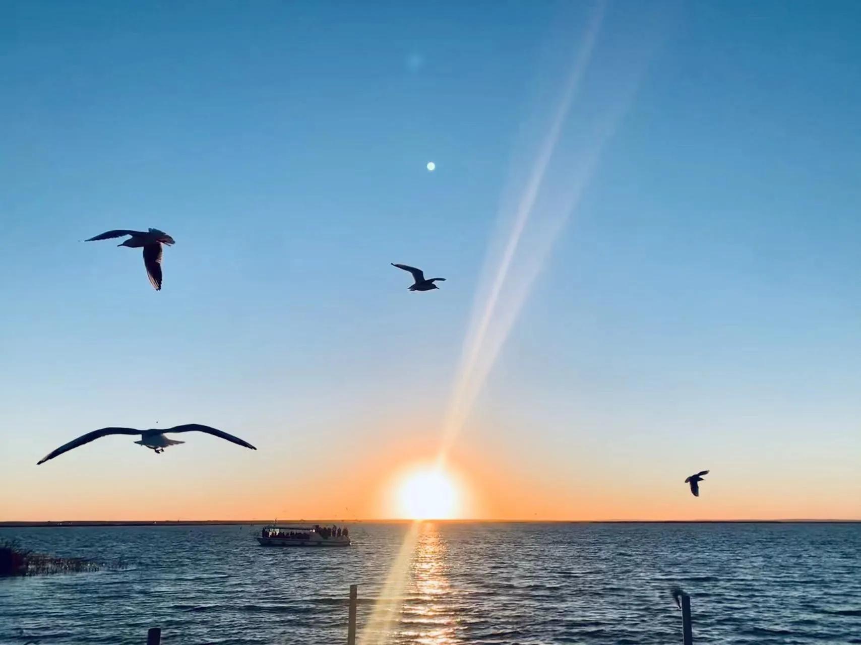 2021秋，噩梦大西北