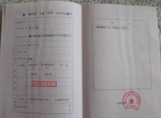 上海市养犬哪里办证,养犬登记证办理流程线下成都