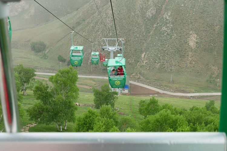 内蒙黄花沟草原游记,黄花沟草原介绍