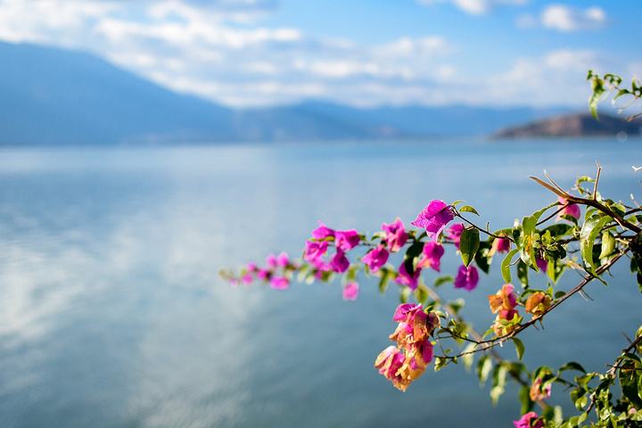 贾乃亮讲心酸经历,贾乃亮的真实生活