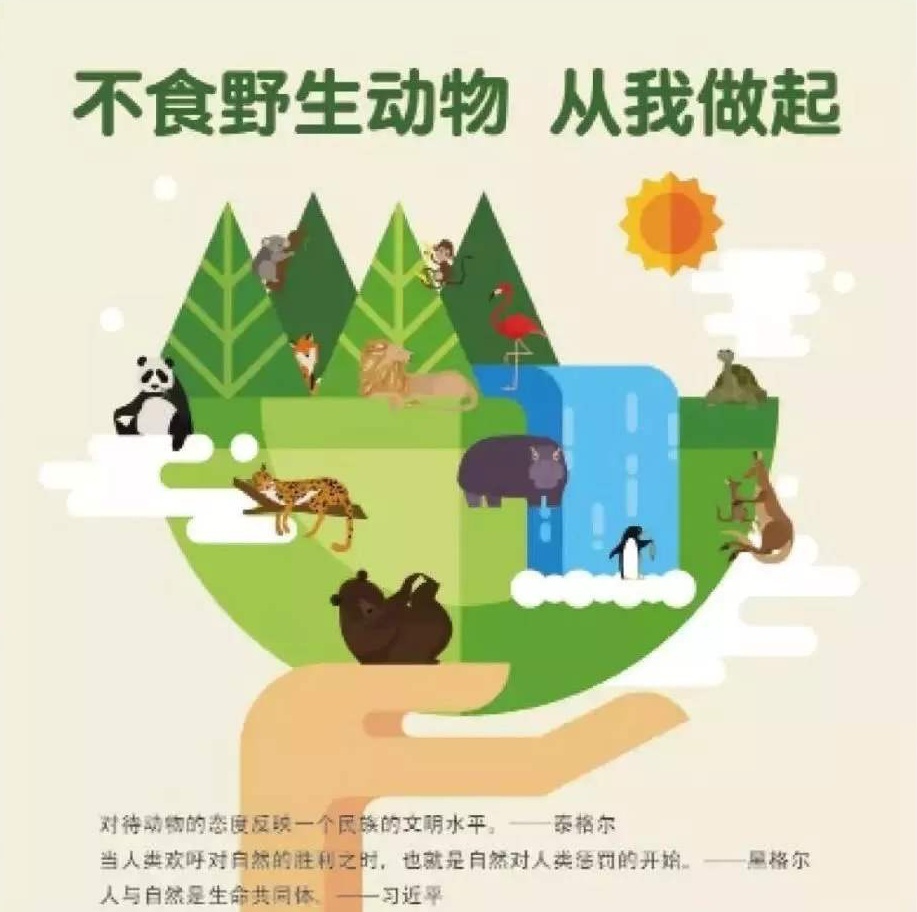 地球有多大科普,地球一小时这些冷知识你都知道吗