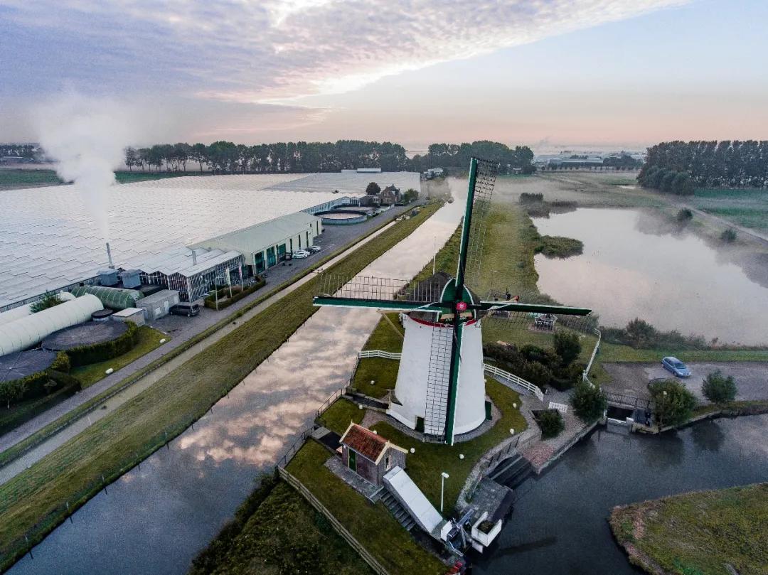 荷兰为什么不多生产光刻机,荷兰垄断光刻机多少年