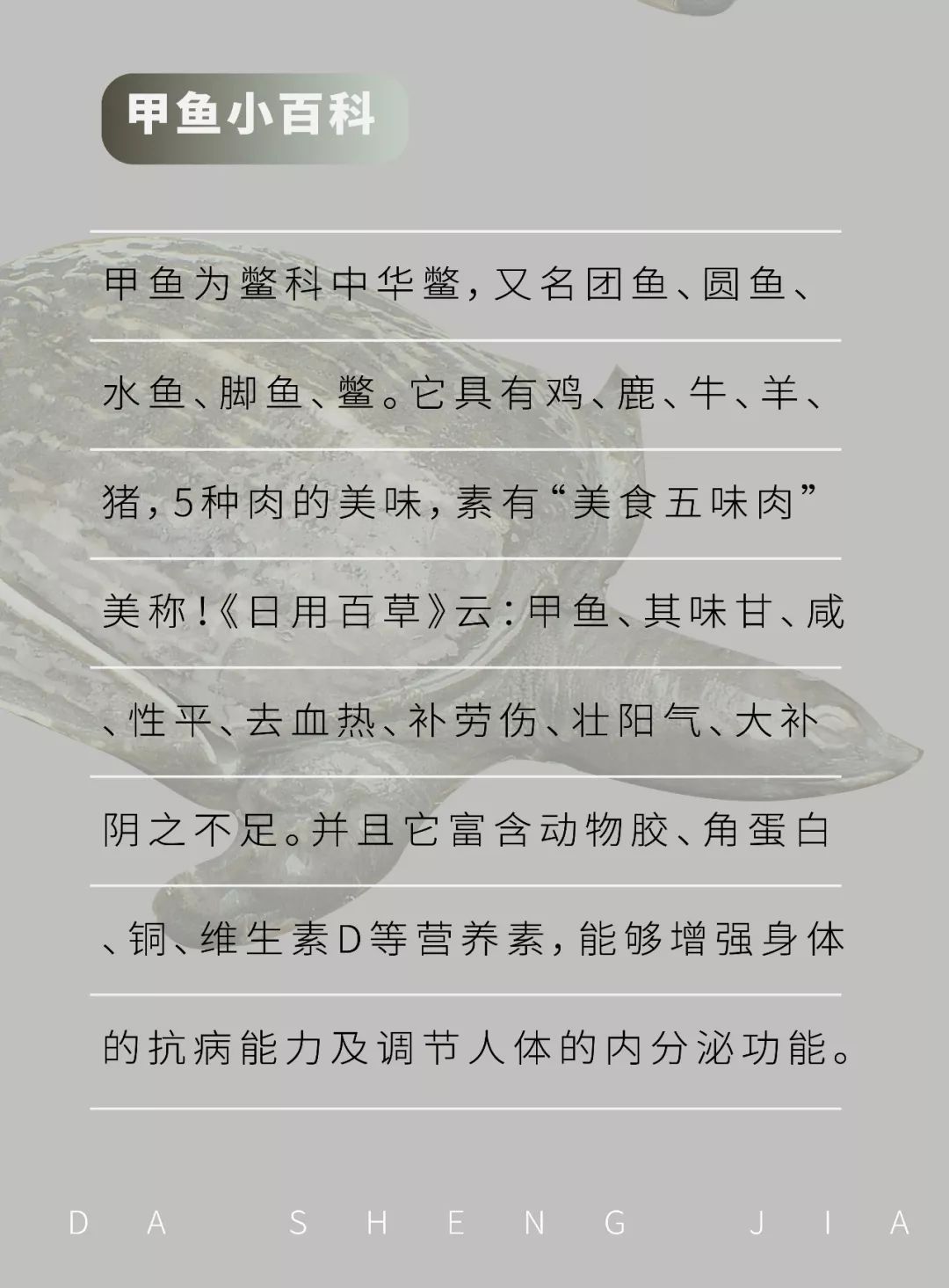 甲鱼销量排行第一名,销量第一美食