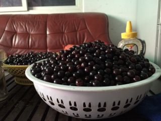 自己动手酿造葡萄酒心得,学做葡萄酒正宗做法