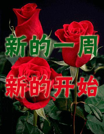 早上好周末愉快问候语动态表情包,周一问候早上好带字美图