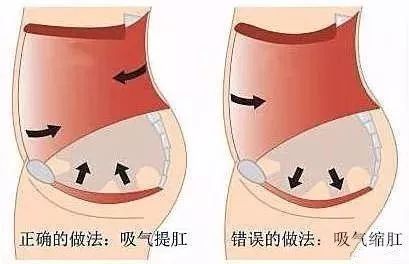 撮谷道正确做法,撮谷道动作