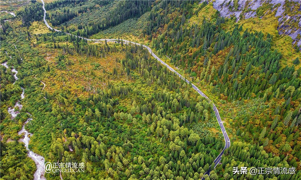 夜色成都串串爽，魅力小金苹果香#国庆中秋趣哪玩#