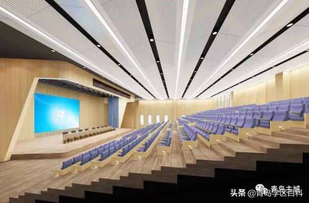 麦岛小学对口初中,青岛麦岛中学的地址