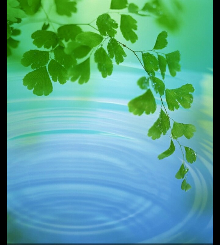 七上八下有关的成语还有哪些,七上八下是成语吗