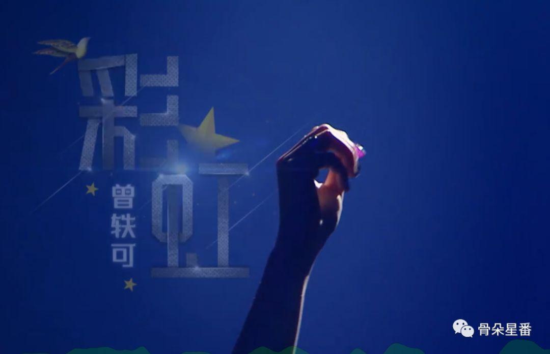 曾轶可被评价,曾轶可被质疑完整版