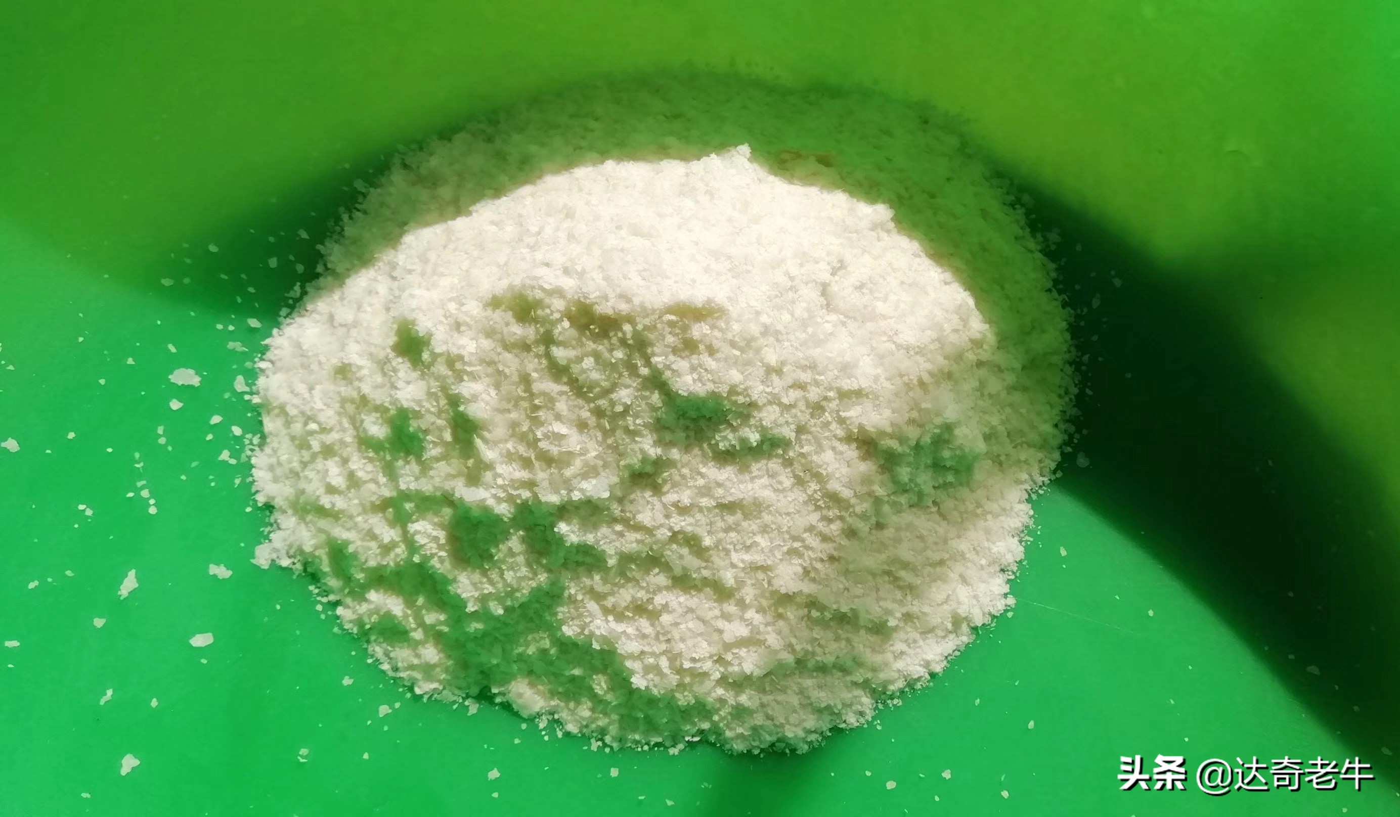 软粘豆饵料,软粘饵料的正确使用方法