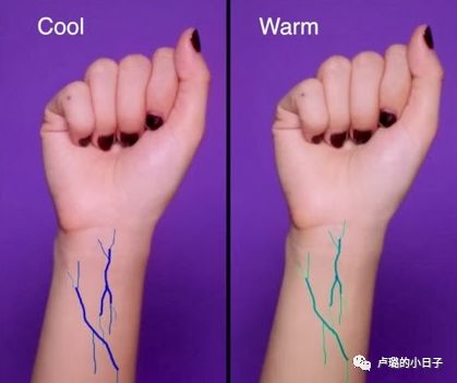 粉底气垫怎样才不脱妆不卡粉,cc棒与bb气垫粉底