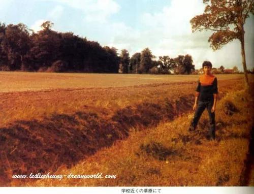 张国荣毕业于英国哪所大学,张国荣留学英国利兹