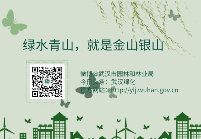 建微信群如何下单产品,建微信群卖东西怎么送货