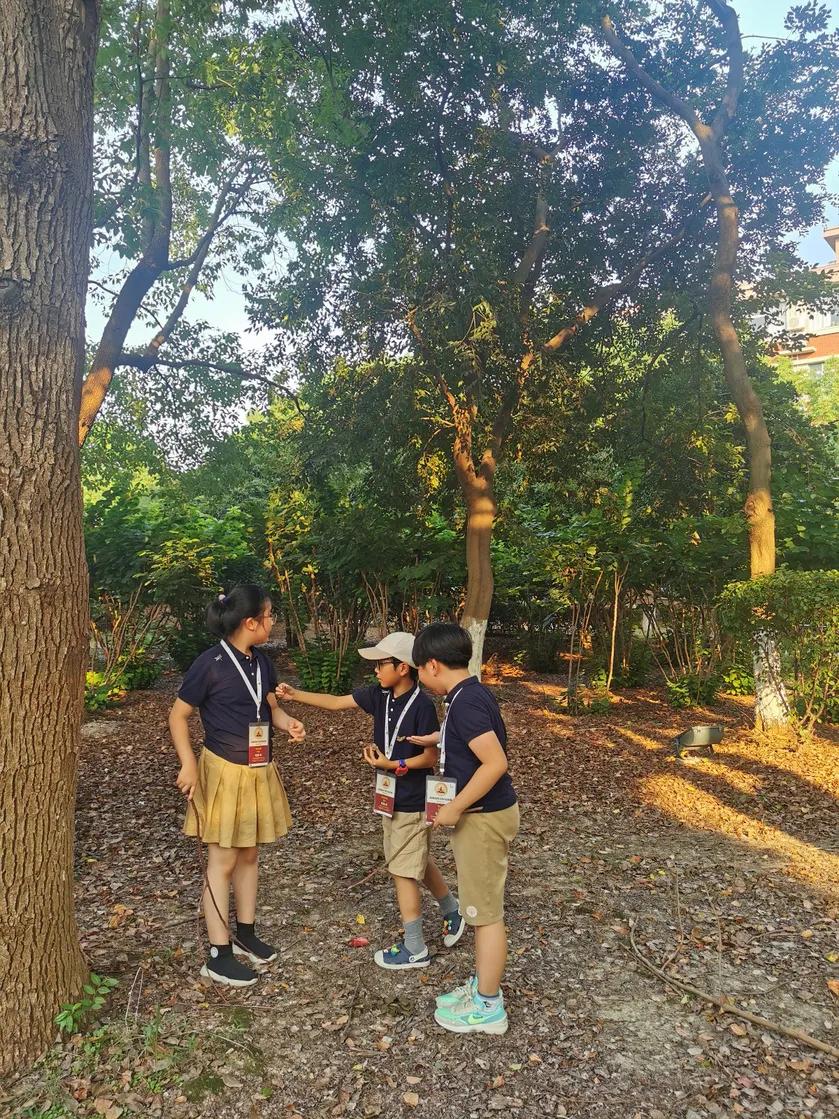 倍迈思,倍迈思学院