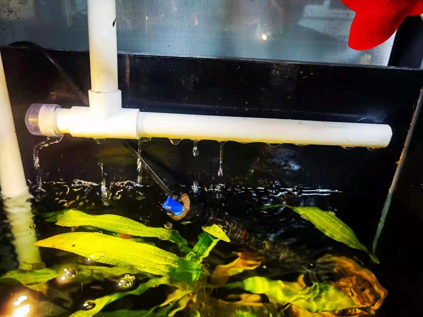 自己制作50方缸的过滤,如何打造1.2米裸缸过滤