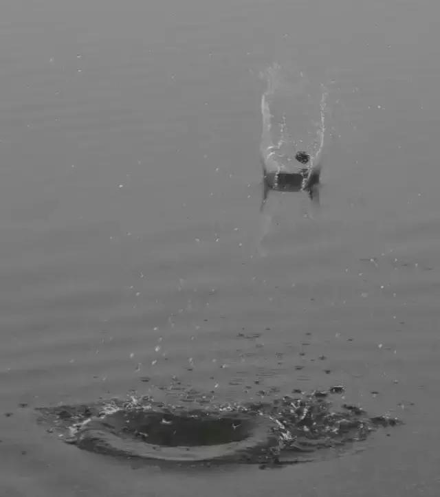 人越老越喜欢回忆过去,人一旦老了就特别爱回忆