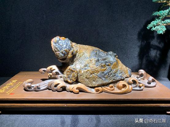 濂囩煶姹熸箹璧忕煶,濂囩煶姹熸箹鐩涗笘璧忕煶鍥剧墖